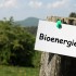 De la Biomasse en Bioénergie